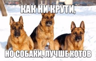 25 фотографий, доказывающих, что мужчины отлично ладят с кошками