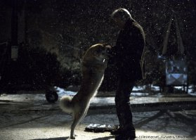 А как же Хатико