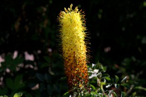 Ну, не знаю. Думаю, время таких объективов прошло. Вот, сравни, сильно сжатая фотка с моего кэнона.