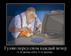 25 фотографий, доказывающих, что мужчины отлично ладят с кошками