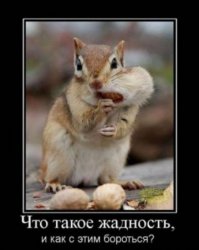 Фотоподборка за 16.07.2015