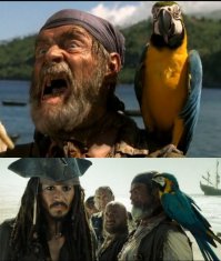 Самые знаменитые животные-киноактеры