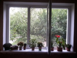 Такой вид, из моей квартиры. Алматы, Казахстан.