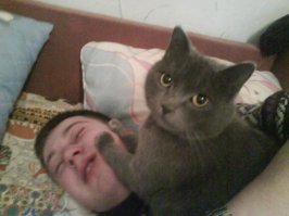 Это мой кот) Взял в заложники моего друга и требует колбасу:) Кота зовут Дымок:)