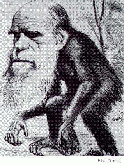 Краткая инструкция