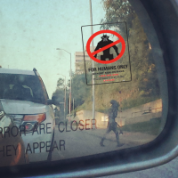 Фотоподборка за 16.07.2015