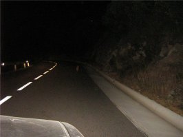 Всем пешеходам!