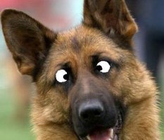 Иди к своей цели несмотря ни на что!