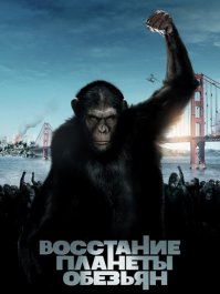 В японском кафе клиентов обслуживает обезьяна официант