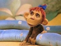 20 очень необычных фотографий животных