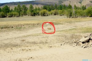 Бегемот что-ли??? Шерстистый наверное, якутский!!!