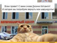 Стерилизация животных