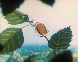 эх молодежь...