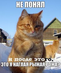 Если бы мой кот мог говорить