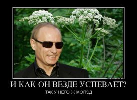 Путин виноват в зарослях борщевика в Британии