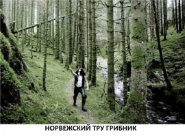 25 примеров сказочной архитектуры Норвегии