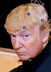 Затрампь кота: коты с шевелюрами из собственной шерсти
