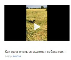 ...не менее интригующе. Fernando вчера был в ударе