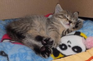 Набраться сил...