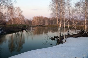 Омская область