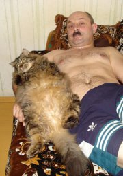 25 фотографий, доказывающих, что мужчины отлично ладят с кошками