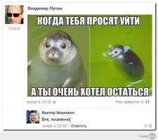 Смешные комментарии из социальных сетей 17.07.15