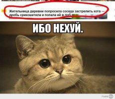 Смешные комментарии из социальных сетей 17.07.15