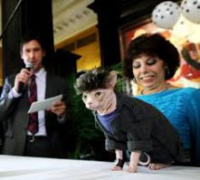 Хозяйка поделилась.