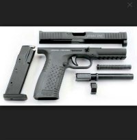 Я имел ввиду чёрного стрижа