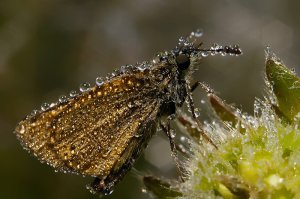 А вот эта красота - на 11-м...