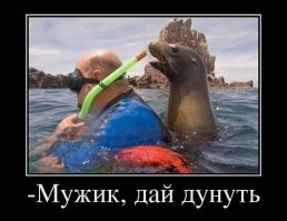 Бывает и так