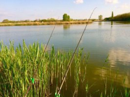 дешево и сердито