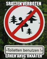 Самые странные правила дорожного движения в мире