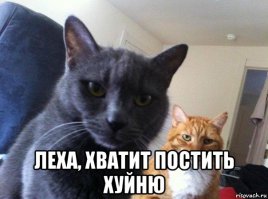 Остроумие спасает от штрафов