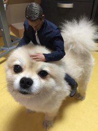 Тут нигде явного фотошопа нет. А #5 щенок с двумя куклами.