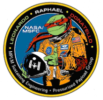 Мнгогцелевые транспортные модули для МКС от итальянского космического агентства тоже так называются.
А Леонардо щяс является стационарным модулем МКС.