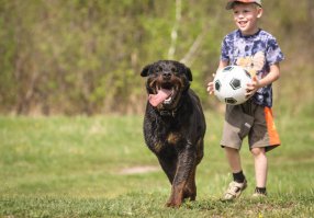 не совсем иллюзия, но все же