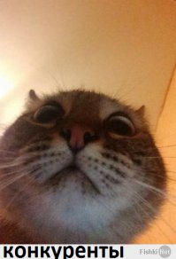 чтоб старого не забыли.