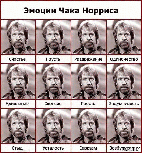 Джошуа Хоровиц - ведущий на MTV