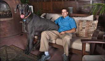 20 фотографий, на которых собаки выглядят настоящими гигантами