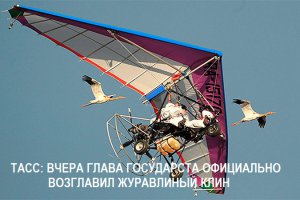 а как вам это? 30 лет назад сразу бы в дурку упаковали