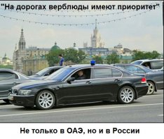 Теперь многое стало ясным.