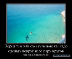 Лучшие аэрофото, сделанные дронами