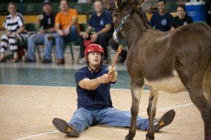 Виды спорта, которые мы никогда не увидим на олимпиаде