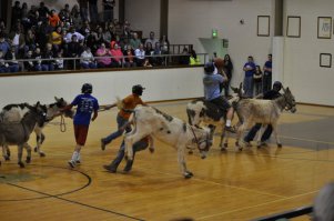 Виды спорта, которые мы никогда не увидим на олимпиаде