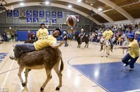 Виды спорта, которые мы никогда не увидим на олимпиаде