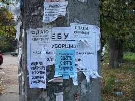 Самая сексуальная уборщица Бразилии