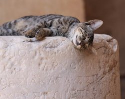 родоские ничуть не хуже :)