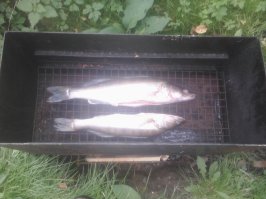 Вкусной рыбки пост