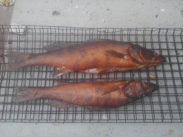 Вкусной рыбки пост